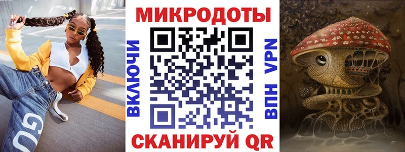Псилоцибиновые грибы Psilocybe  Великий Устюг 