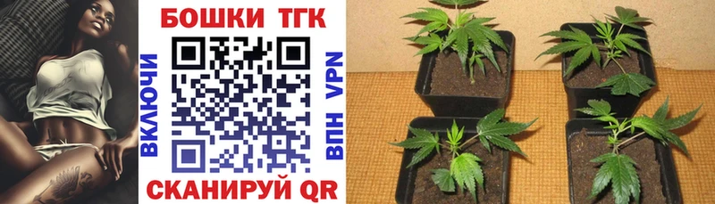 Бошки Шишки VHQ  купить наркоту  Великий Устюг 
